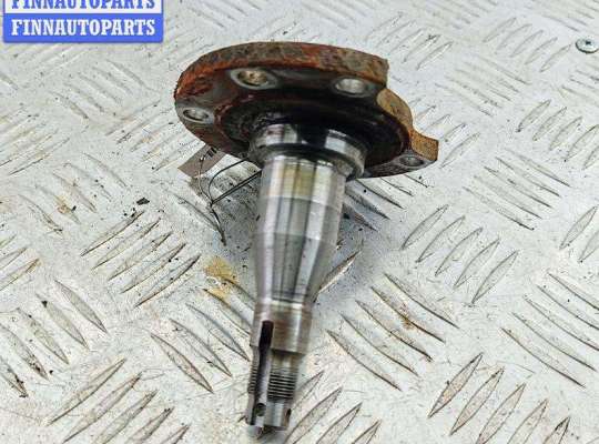 Цапфа задняя (ось ступицы) AU1702102 на Audi 80 B4 (1991-1996)