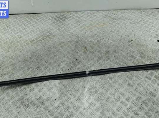 купить Молдинг крыши на Citroen C3 I (2002-2009)