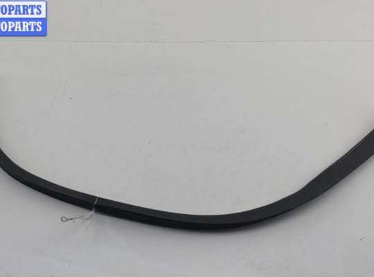Уплотнитель двери передней левой BM3460861 на BMW X5 E53 (1999-2006)