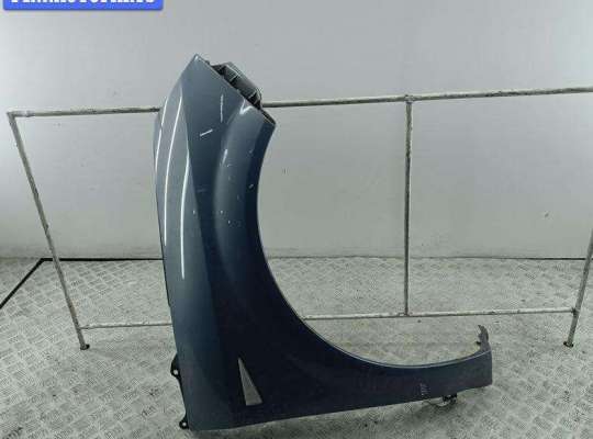 Крыло переднее правое RN1575779 на Renault Scenic II (2003-2009)
