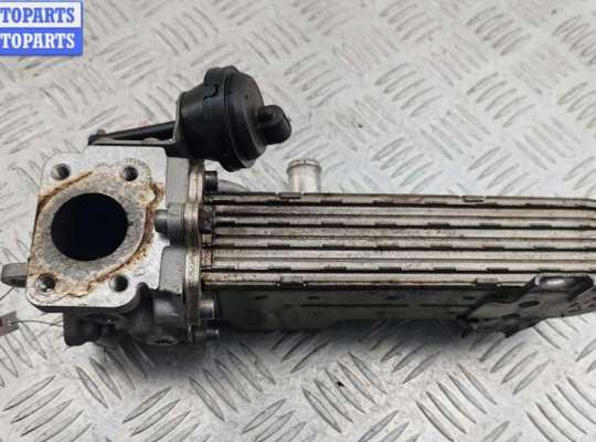 купить Охладитель отработанных газов на Volkswagen Touran