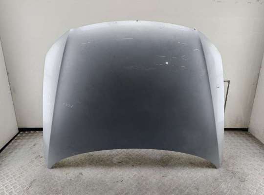 Капот VG2842384 на Volkswagen Passat B6