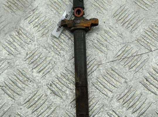Форсунка топливная PG1237384 на Peugeot 307