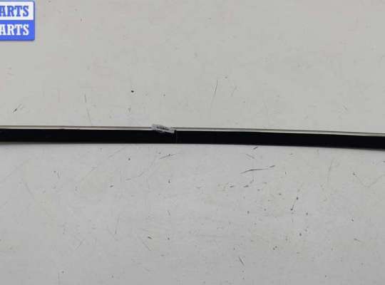 Молдинг на BMW 5 (E39)