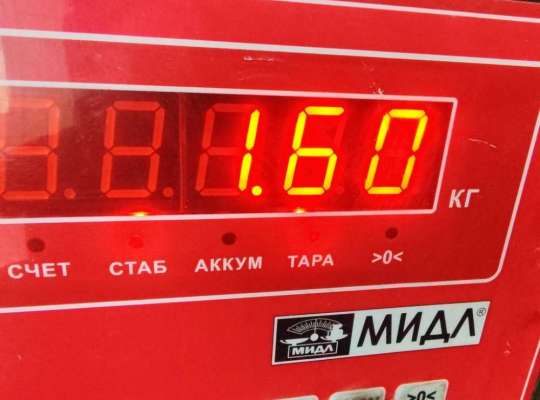 купить Насос гидроусилителя руля на Audi Q7 4L (2005-2015)
