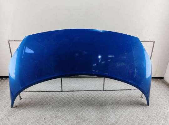 Капот RN1582901 на Renault Scenic II (2003-2009)
