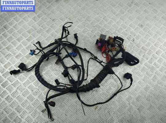 Проводка двигателя VG2667059 на Volkswagen Passat B5