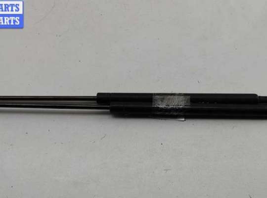 Амортизатор крышки (двери) багажника FT556822 на Fiat Panda