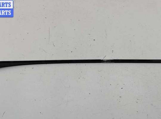 Молдинг на Ford S-Max