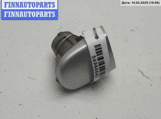 купить Колпачок (заглушка) ручки двери на Volkswagen Passat B5+ (GP)