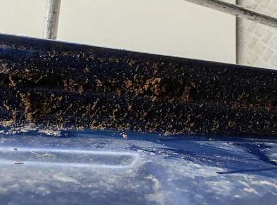 купить Дверь боковая передняя левая на Peugeot 307