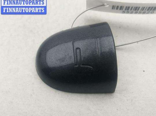 купить Колпачок (заглушка) ручки двери на Renault Laguna III (2008-2015)