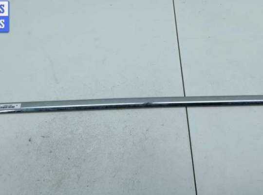 купить Молдинг двери задней левой на Volkswagen Passat B6