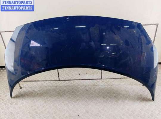 Капот RN1597337 на Renault Scenic II (2003-2009)
