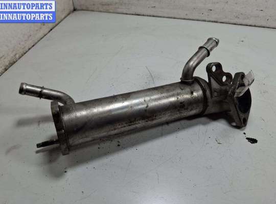 купить Охладитель отработанных газов на Ford Transit (2006-2014)