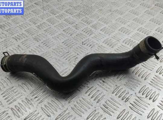 купить Патрубок радиатора на Nissan Primera P12 (2002-2008)