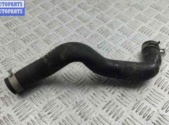 купить Патрубок радиатора на Nissan Primera P12 (2002-2008)