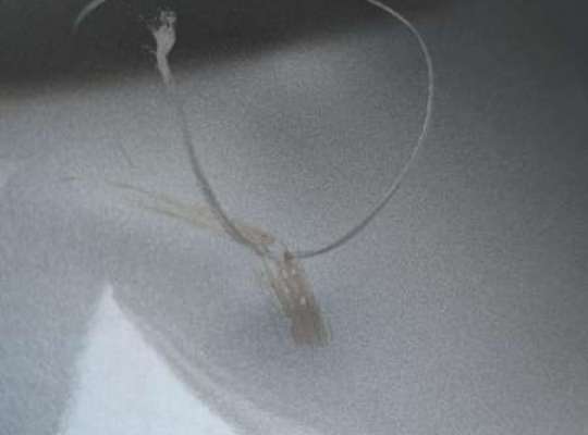 купить Крыло переднее левое на Audi A6 C6 (2004-2011)