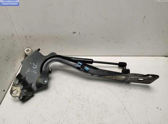 Петля капота правая RN1450319 на Renault Scenic III (2009-2015)