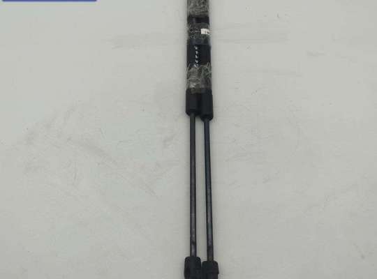 Амортизатор крышки (двери) багажника AU1725416 на Audi A6 C6 (2004-2011)