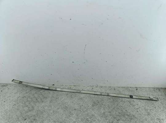 Молдинг крыши RN1147748 на Renault Scenic II (2003-2009)