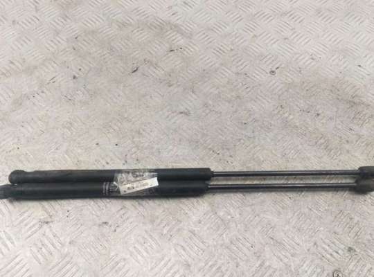 Амортизатор капота FTD7716 на Fiat Stilo