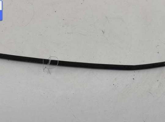 Молдинг лобового стекла VG2734316 на Volkswagen Passat B6