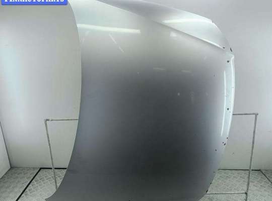 купить Капот на Volkswagen Passat B6