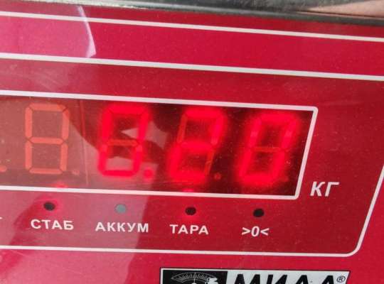 купить Петля капота правая на Toyota Yaris Verso