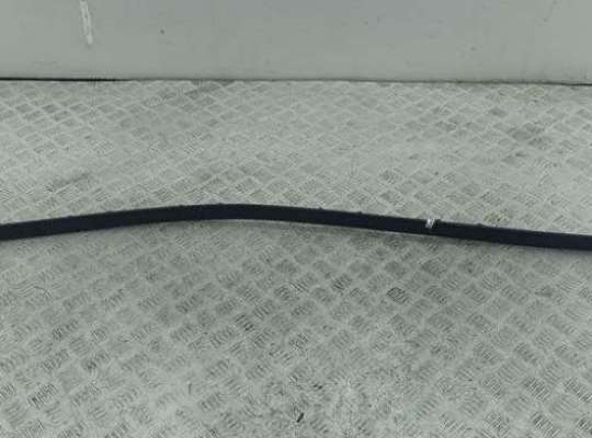 купить Молдинг крыши на Ford Focus III (2011-2018)