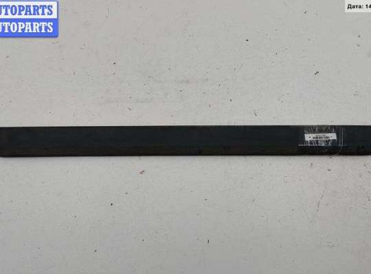 Молдинг двери задней левой VG2389314 на Volkswagen Passat B6