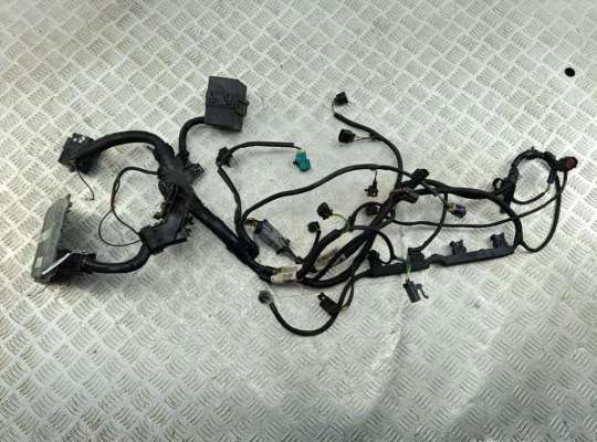 Проводка двигателя FO2264298 на Ford Fusion