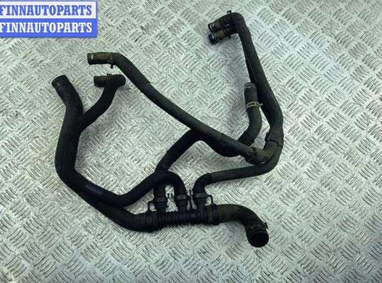 Патрубок радиатора RN1555258 на Renault Scenic II (2003-2009)