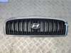 купить Решетка радиатора на Hyundai Sonata (2001-2004)
