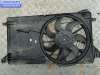 купить Вентилятор радиатора на Ford Focus II (2004-2011)