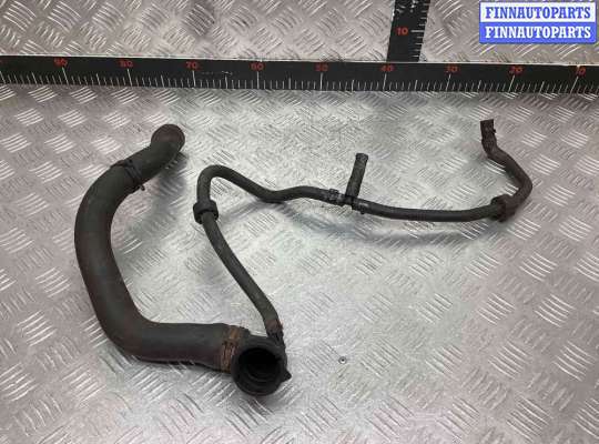 купить Патрубок радиатора на Audi A3 A3 II (8P) 2005-2008 рестайлинг