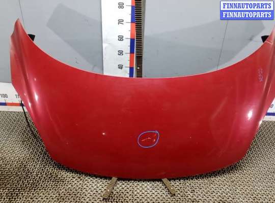 капот RN1448725 на RENAULT SCENIC 3