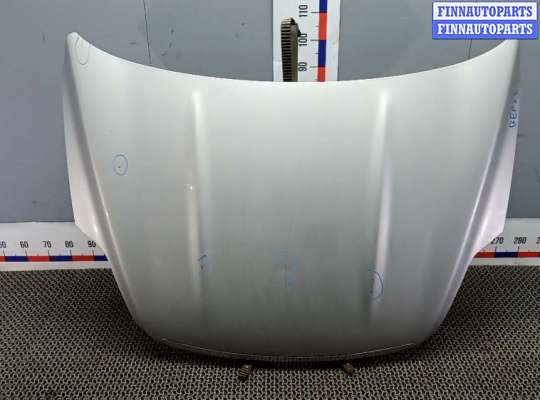 капот FO2101324 на FORD KUGA 1