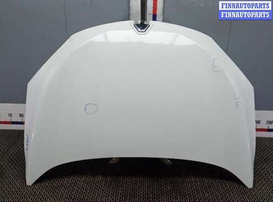 капот RN1551967 на RENAULT MEGANE 3