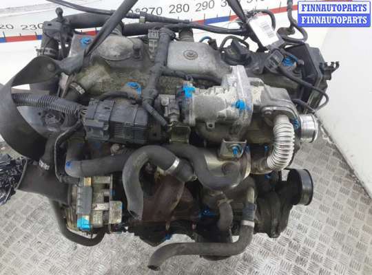 купить двигатель дизельный на FORD FOCUS 2