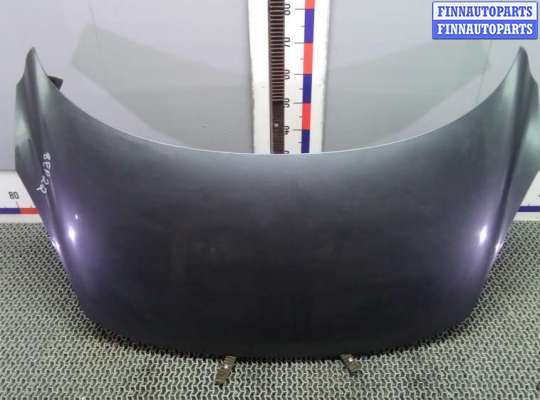 капот RN1524228 на RENAULT SCENIC 3