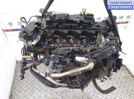 ДВС (Двигатель) на Ford Focus III