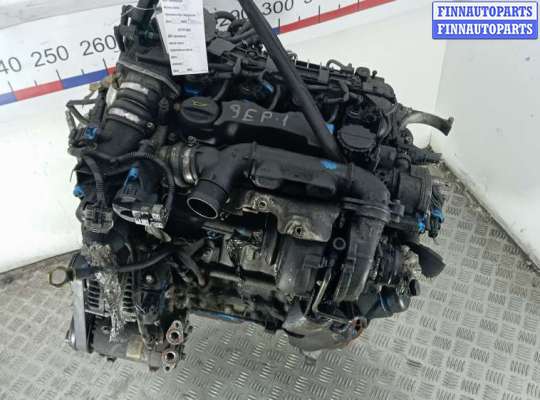 купить двигатель дизельный на FORD FOCUS 2