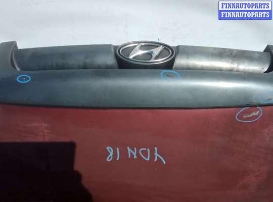Капот на Hyundai Santa Fe I (SM, Classic +ТАГАЗ)