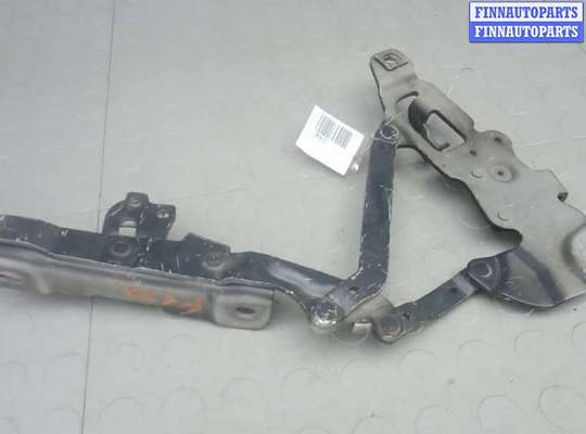купить петля капота на BMW 7 F01
