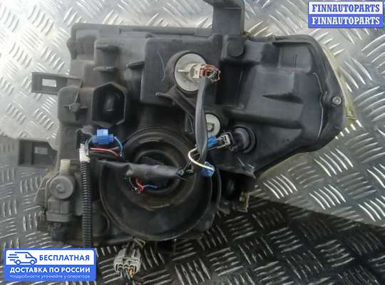 Фара передняя на Nissan Navara / PickUp (D40)