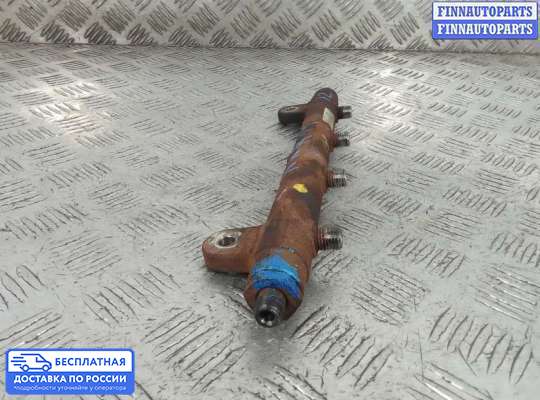 Рампа (рейка) топливная на Range Rover Sport I (L320)