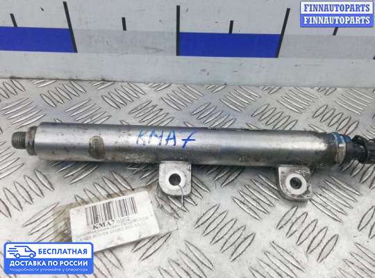 Рампа (рейка) топливная на Range Rover Sport I (L320)