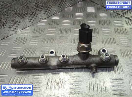 Рампа (рейка) топливная на Volkswagen Phaeton (3D)