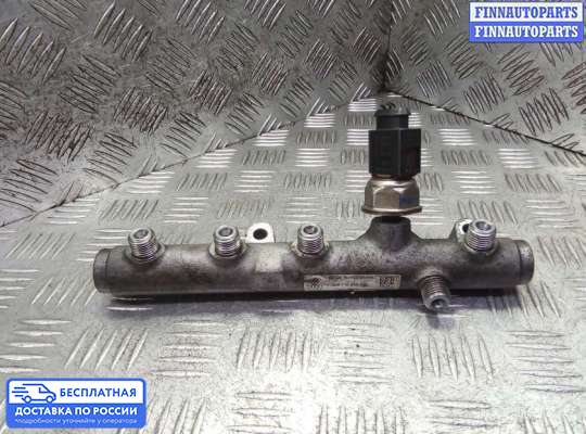 Рампа (рейка) топливная на Volkswagen Phaeton (3D)